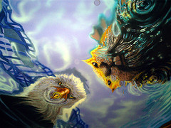 Eagle and Beaver on the ceiling